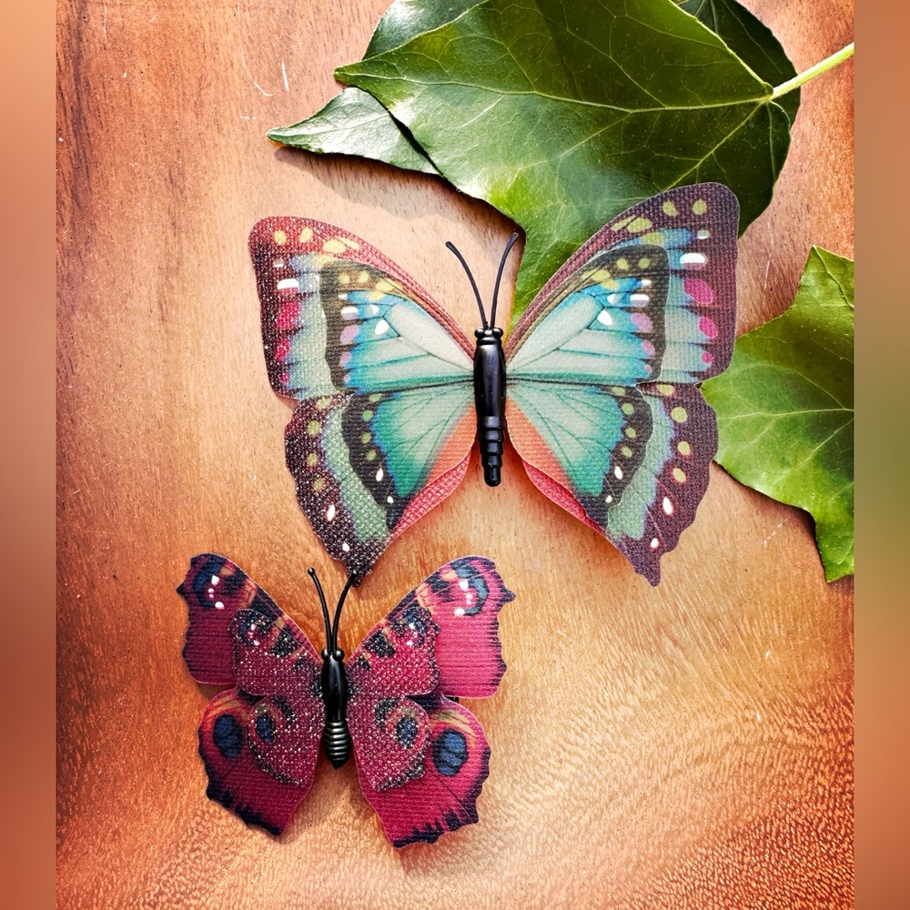 Set of 2: Decorative Butterfly Clips